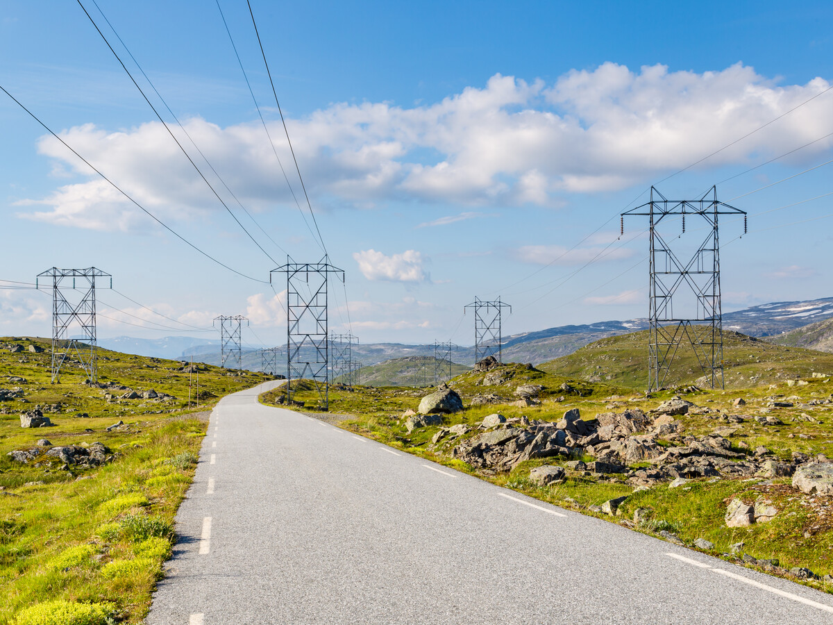 – Å ta vare på strømnettet er en viktig jobb, men det er ikke riktig at forbrukerne må dekke så stor andel av viktig infrastruktur, mener Ramsdal i NorgesEnergi. Foto: mostphotos.com